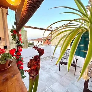 https://casa-dionea-puerto-de-la-cruz.in-canary-islands.com